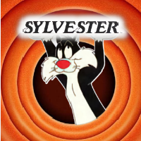 Sylvester BSC