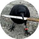 crow with knife logo