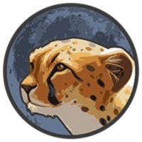 Token Cheetah