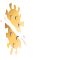 Covid Cutter