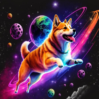 SPACE DOGE