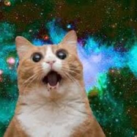 felicette the space cat