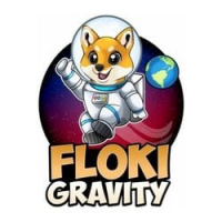 FlokiGravity