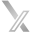 X AI
