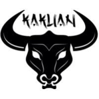 10 Bulls logo