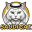 Saudi Cat
