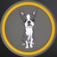 Billgates Dog Oreo logo