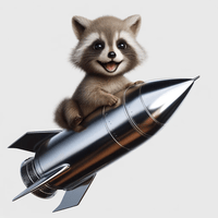 Raccoon on a Rocket
