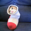 A Cat In A Sock
