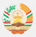 Tajikistan TJS