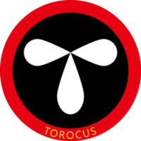 TOROCUS Token