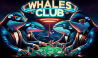Whales Club
