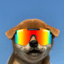 dog wif glasses logo