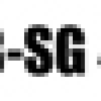 FYB-SG