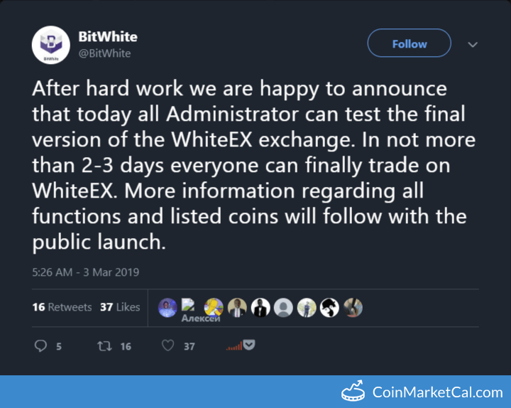 WhiteEX Launch image