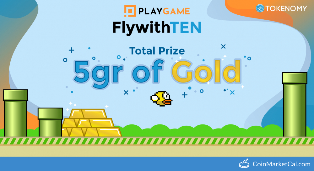 FlywithTEN PlayGame image