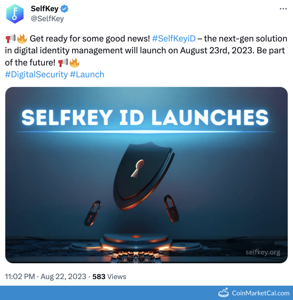 SelfKey ID Launch image