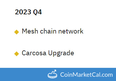 Mesh Chain Network image
