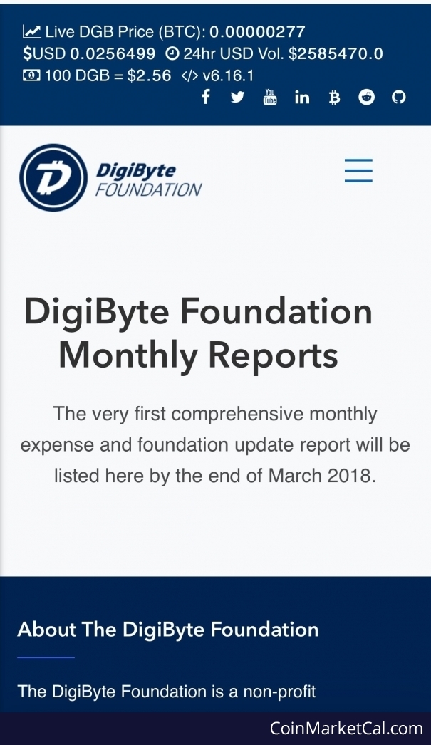 DGB Foundation Report image