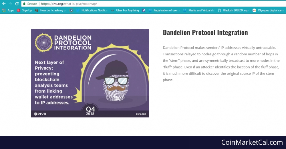 Dandelion Protocol image