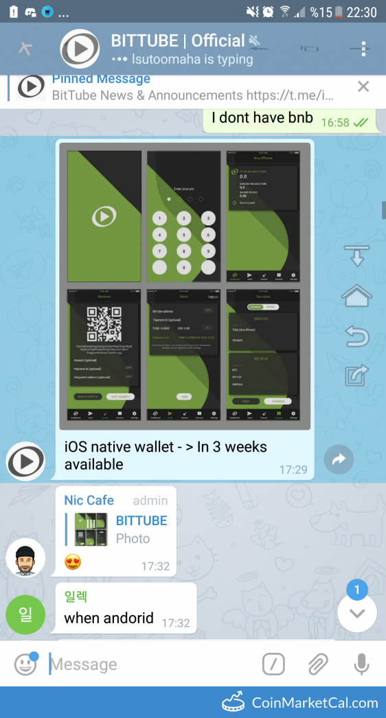 BitTube IOS Native Wallet image